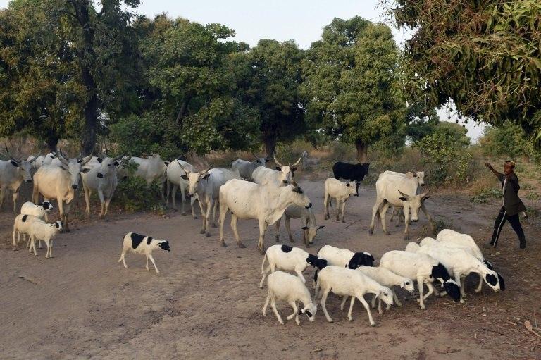 At least 10 people died in several days of clashes between herdsmen and farmers in eastern Nigeria, police said Monday, but the cattle drivers gave a higher toll