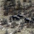 Botswana said it was overturning a 2014 ban introduced to reverse a decline in the elephant population with ruling party lawmakers claiming wild animal numbers have become unmanageable