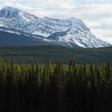 A view of Banff National Park in Canada, where the avalanche took place