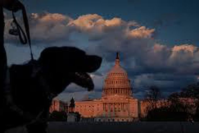 Welcome to spring quiz