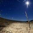 In parts of Germany, farmers' fields resemble desert landscapes