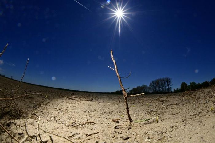 In parts of Germany, farmers' fields resemble desert landscapes