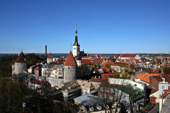 Years of tight spending under previous governments means Estonia has the EU's lowest debt-to-GDP ratio -- but many rural citizens feel left behind and Helme's rhetoric has struck a chord with some