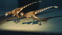 He listed a T. Rex fossil on eBay for $2.95 million, scientists weren't thrilled