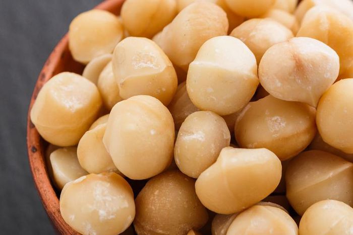 Dr. Pimple Popper Pops 'Macadamia Nut' Pilar Cyst