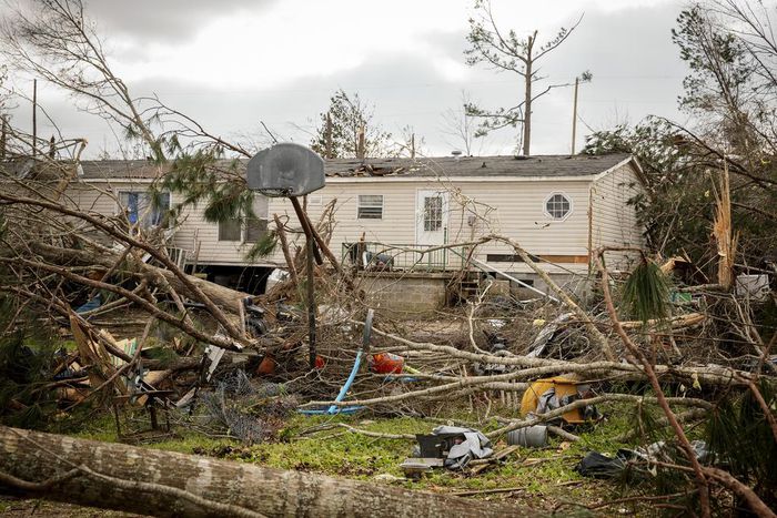 Partisan Fight Over Aid to Puerto Rico Strands Mainland Farmers