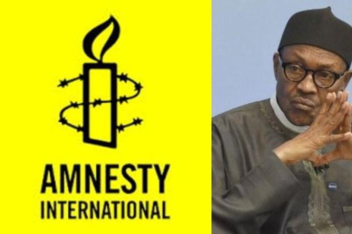 Amnesty International says it is open to amicable working relationship with Nigeria [dailyadvent]