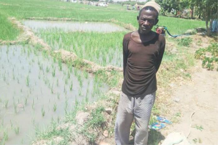 Over 350,000 Kebbi farmers unable to participate in this year's dry season farming [Dailytrust]