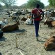 Instead of their traditional spears, cowherds now carry automatic rifles that have transformed cattle raids, a generations-old phenomenon, into massacres