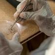 The first pilot malaria vaccine was developed with almost $1 billion in investment
