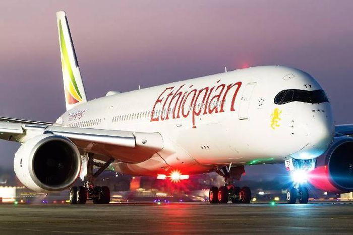 Ethiopian Airlines plane. (The Standard)