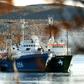 The Greenpeace Arctic Sunrise ship moored next to a Russian Coast Guard ship in the northern Russian port of Murmansk in 2013