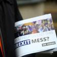 In the upcoming European parliamentary elections, Britain's centrist Liberal Democrats are hoping to maintain an impressive surge in support
