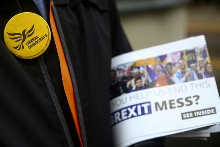 In the upcoming European parliamentary elections, Britain's centrist Liberal Democrats are hoping to maintain an impressive surge in support