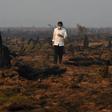 Indonesia's President Joko Widodo inspects a peatland clearing that was engulfed by fire in 2015