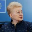 Nine candidates are vying to succeed Dalia Grybauskaite, who is stepping down after two terms as Lithuanian President