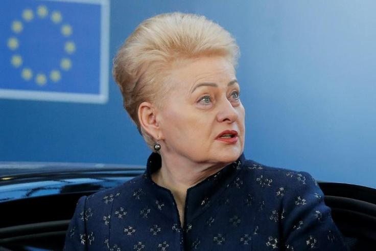Nine candidates are vying to succeed Dalia Grybauskaite, who is stepping down after two terms as Lithuanian President