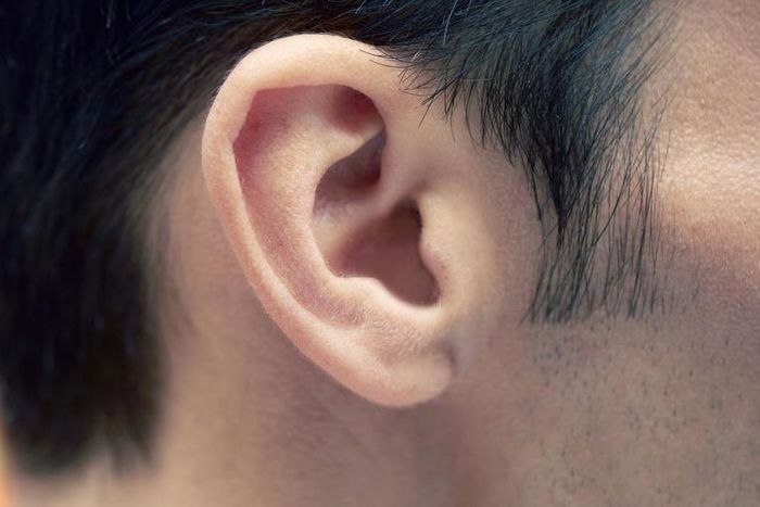 Dr. Pimple Popper Extracts 'Hard Pop' Cyst