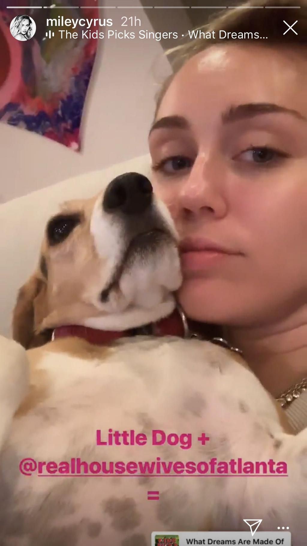 Miley Cyrus Posted A Glowy, No-Makeup Selfie On Instagram