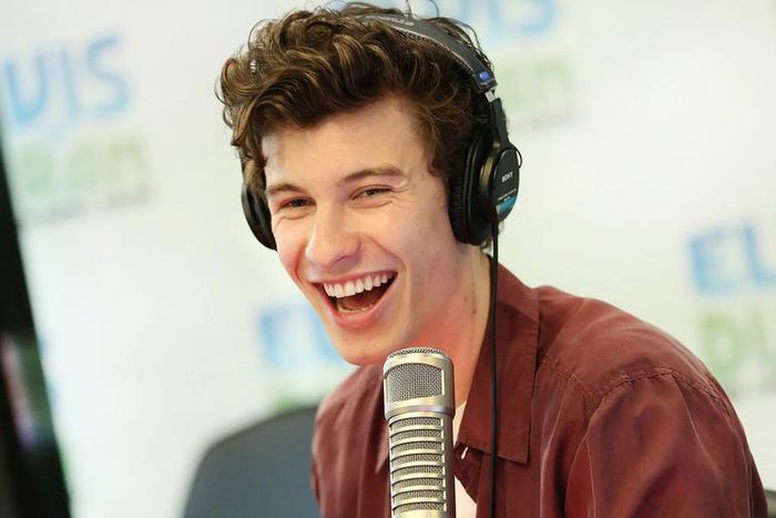 Shawn Mendes Jokes Justin Bieber Would Win A Fight