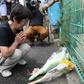 Locals left flowers in memory of the victims