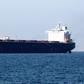Much of Iran's tanker fleet faces a prolonged layoff as Washington ends all remaining exemptions to the sweeping sanctions it reimposed on Iranian oil exports in November