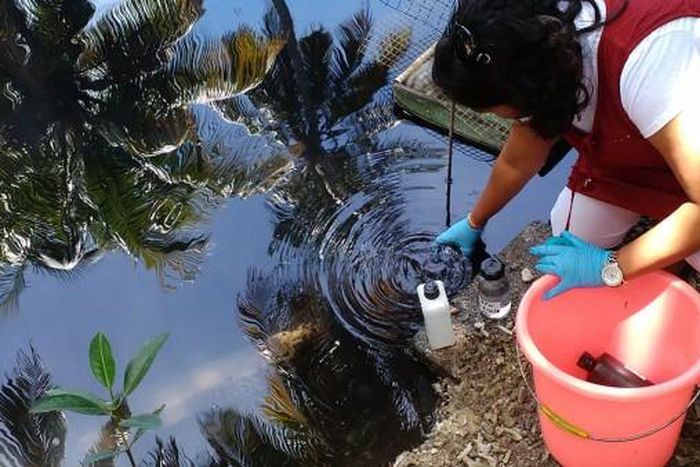 International Atomic Energy Agency (IAEA)