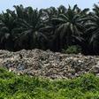 In 2018, China stopped accepting foreign plastics for recycling, causing the trade to divert to South East Asia where cowboy firms are dumping and burning waste