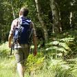 Best Tick Repellent
