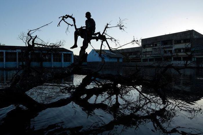 Mozambique looks beyond Cyclone Idai to better protection in the future