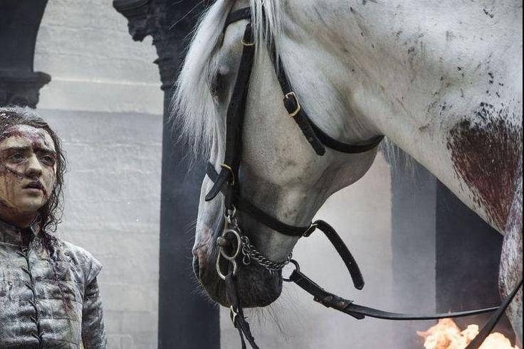 GoT Fans Have a Terrifying Theory About Arya