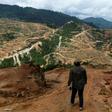 The report finds that three-quarters of land surfaces have been 'severely altered' by mankind including through deforestation