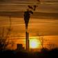 The EU has pledged to reduce its carbon emissions by 40 percent below 1990 levels by 2030