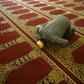 A man prays at the Dawatagaha Jumma Masjid mosque in Colombo. Sri Lankan Muslim groups say they warned authorities about the increased radicalisation of Easter Sunday attack ringleader Zahran Hashim