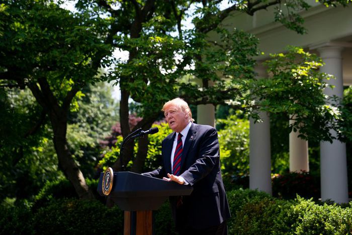 Why Trump can't get enough of the Rose Garden