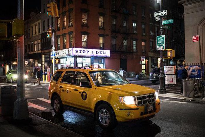 Subway commutes disrupted by someone activating emergency brakes, officials say