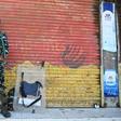 The world's biggest poll has been plagued by violence