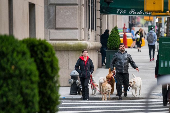 Park Avenue: Flowers and financiers, in the thick of it all