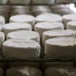 A French cheesemaker has been asked to recall two of its cheeses from Germany as a precaution over concerns they could have been contaminated with the bacteria E.coli