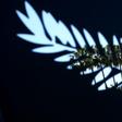 The 72nd Cannes Film Festival has one of the glitziest line-ups in years as Hollywood stars and studios return