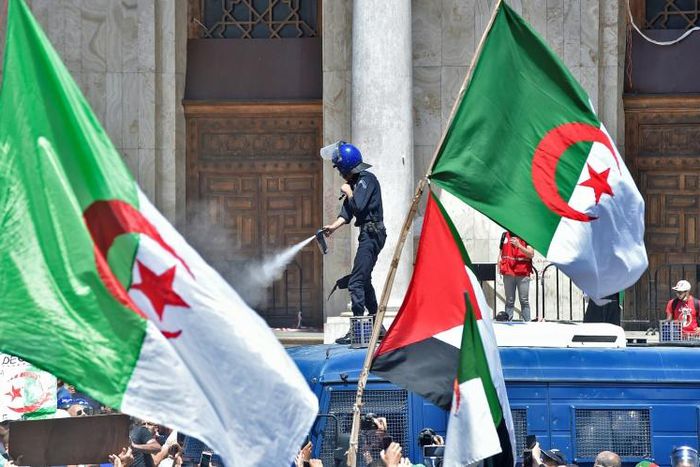 Thousands of Algerians rallied in their capital on Friday to protest against the country's ruling elite