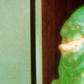 Dr. Pimple Popper Gnarly Slimer 'Cyst'