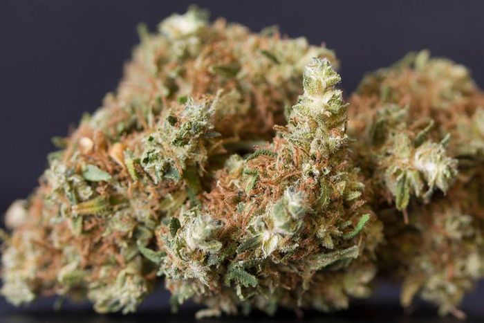 Dr. Pimple Popper Extracts 'Sticky' Back Cyst