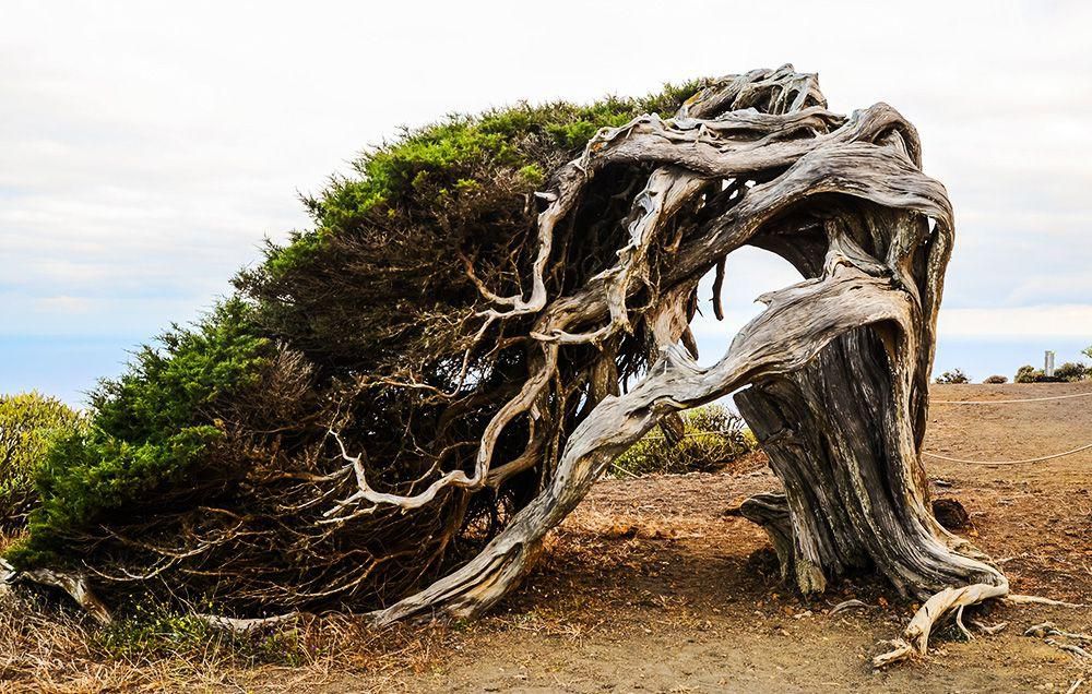 erectile dysfunction signs