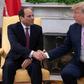 Egyptian President Abdel Fattah el-Sisi reportedly urged US counterpart Donald Trump to blacklist the Muslim Brotherhood