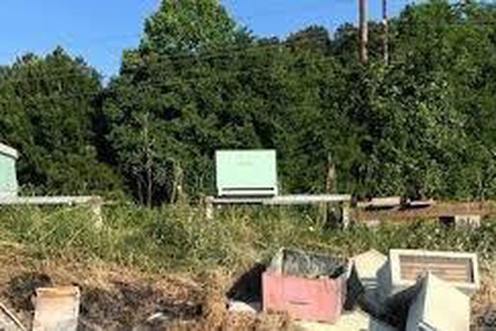 Beehive Arson in Texas kills half a million: 'There Goes My Honey Flow'