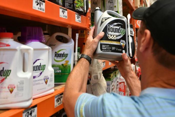 In this file photo taken on July 9, 2018, Customer Gary Harms shops for Roundup products at a store in San Rafael, California