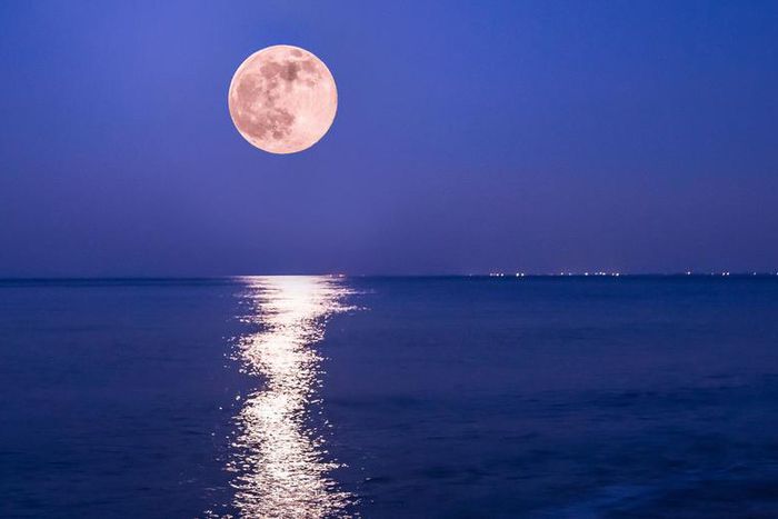 What The Full Pink Moon Means For Your Sign