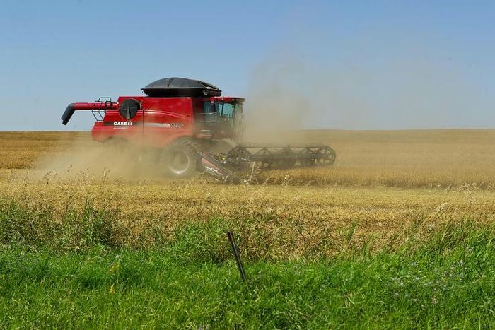 Canada is extending larger loans to farmers after China blocked shipments of canola