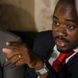 Zimbabwe opposition leader Nelson Chamisa is expected to be elected as the party's new president